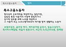 특수고용노동자의정의,갈등및노동조합설립,특수고용노동자 5페이지