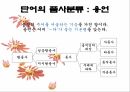 현행학교문법,문법,형태소,단어형성법,단어의품사분류,문장성분의종류,문장의짜임새 11페이지