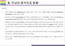 원격의료 현황과 필요성 그리고 향후 해결과제 및 전망[원격의료,원격진료,스마트진료,스마트의료,원격자문,원격모니터링] 11페이지