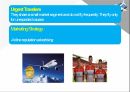 Marketing strategies for effective market segmentation of airlines 14페이지