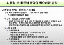 베트남 분단과 통합 20페이지