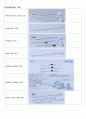 Kyphoplasty(경피적 풍선 척추 성형술) 4페이지