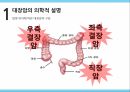 대장암 환자,암 의학적,대장의 역할,대장암의 원인,대장암의 진행,대장암의 진단,대장암의 치료 8페이지