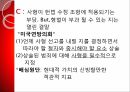 사형제도의 합헌,사형제도,사형제도 존속론,사형제도 폐지론,사형,퍼어맨 재판,사형 형법 절차 15페이지