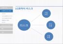 LG화학의리스크관리,LG화학,LG화학의리스크관리프로그램,외국의선진리스크관리프로그램 13페이지