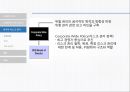 LG화학의리스크관리,LG화학,LG화학의리스크관리프로그램,외국의선진리스크관리프로그램 27페이지
