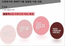 다문화가족,저출산 고령화,다문화가정 정책,보건복지부,다문화가족센터,다문화가정 자녀 10페이지