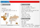 미국의 기업문화,미국문화 소개,미국의 기업,지역별 기업문화,한국기업현황,한국기업 실패사례,기업문화 17페이지