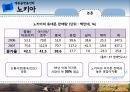 플랫폼전략,제품 플랫폼 노키아,고객 플랫폼 현대카드,거래 플랫폼 페이스북,플랫폼 전략 효과 19페이지