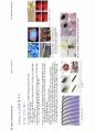 전자디스플레이_Micro LED_report 16페이지