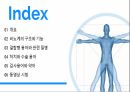 성인 비뇨기계 PPT- 구조, 기능, 콩팥, 의학용어 (항상 과제 A+ 받고 당연히 이 케이스도 A+ ) 2페이지