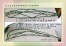 화훼장식 포트폴리오 17페이지