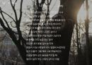한국현대시의 이해 신경림의 나목 분석 PPT 11페이지