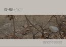 한국현대시의 이해 신경림의 나목 분석 PPT 16페이지