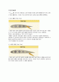 항공역학[고양력장치와 고항력장치에 대하여 서술하시오] 4페이지