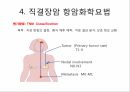 대장암의 진단 & 수술적 치료종류 17페이지