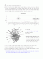 논문 요약 및 분석 (빅데이터 기술을 활용한 인문콘텐츠 분야의 의미연결망 분석) 5페이지