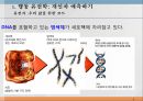 본성,양육,인간의 다양성,행동유전학,게놈 DNA 유전정보,쌍생아 연구,쌍생아 연구 절차,입양아 연구 3페이지