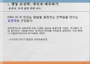 본성,양육,인간의 다양성,행동유전학,게놈 DNA 유전정보,쌍생아 연구,쌍생아 연구 절차,입양아 연구 4페이지