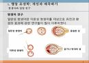 본성,양육,인간의 다양성,행동유전학,게놈 DNA 유전정보,쌍생아 연구,쌍생아 연구 절차,입양아 연구 6페이지