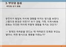 본성,양육,인간의 다양성,행동유전학,게놈 DNA 유전정보,쌍생아 연구,쌍생아 연구 절차,입양아 연구 17페이지