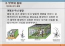 본성,양육,인간의 다양성,행동유전학,게놈 DNA 유전정보,쌍생아 연구,쌍생아 연구 절차,입양아 연구 18페이지
