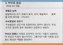 본성,양육,인간의 다양성,행동유전학,게놈 DNA 유전정보,쌍생아 연구,쌍생아 연구 절차,입양아 연구 19페이지