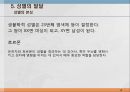 본성,양육,인간의 다양성,행동유전학,게놈 DNA 유전정보,쌍생아 연구,쌍생아 연구 절차,입양아 연구 28페이지