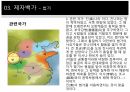 중국문화사,제자백가,춘추 전국의 정의,제자백가의 정의,도가,유가,병가,법가 22페이지