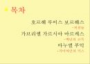 환상과 현실,사실을 가장한 환상,문학 이론을 소설화,형이상학적 주제,마술적 리얼리즘 2페이지