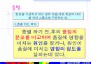 QC기초수법 45페이지