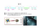 전처리, 전착도장 교육자료 6페이지