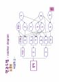 QC수법NEW 11페이지