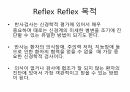 Reflex 평가 내용정리 2페이지