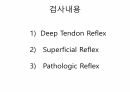 Reflex 평가 내용정리 5페이지