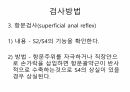 Reflex 평가 내용정리 15페이지