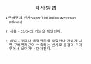 Reflex 평가 내용정리 16페이지