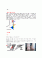 A+ 성인 간호학 케이스 아킬레스건 파열 간호진단1개 3페이지