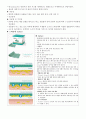 상처 드레싱제의 종류 및 특성 14페이지
