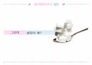 중국 최대 사탕수수 산지 광서장족자치구와 바이오 에탄올 산업의 미래 11페이지