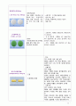 [노인간호학-CASE STUDY] 급성신우신염(Acute Pyelonephritis() A+ (염증반응과 관련된 고체온) 14페이지