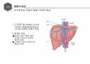(발표 PPT) 자가면역성 간염(Autoimmune hepatitis)에 관하여 10페이지