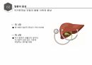 (발표 PPT) 자가면역성 간염(Autoimmune hepatitis)에 관하여 12페이지