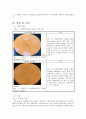 Escherichia coli(E.coli)와 Bacillus subtillis의 그람염색 3페이지