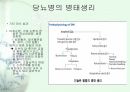 당뇨1 4페이지