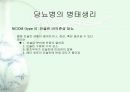 당뇨1 6페이지