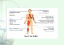 당뇨1 18페이지