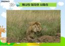 아프리카 케냐 문화 15페이지