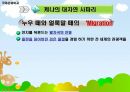 아프리카 케냐 문화 18페이지