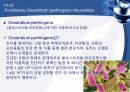 (발표 PPT) 식중독(food poisoning) 22페이지